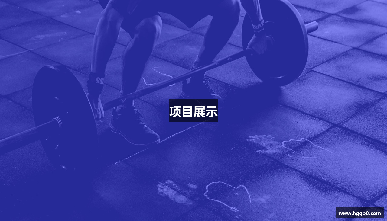 项目展示